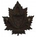 Canadian Bishop's College C.O.T.C. Cap Badge