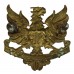 Canadian McMaster University C.O.T.C. Cap Badge 