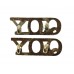 Pair of Queen's Own Yeomanry (Q.O.Y.) Anodised (Staybrite) Shoulder Titles