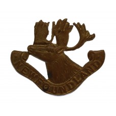 Scarce Newfoundland Regiment Cap Badge (c.1914-18)