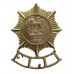 Fiji Defence Force Anodised (Staybrite) Cap Badge - Queen's Crown