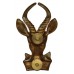 South African Infantry Corps Cap Badge