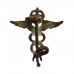 Royal Air Force (R.A.F.) Medical Branch Collar Badge - King's Crown