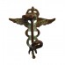 Royal Air Force (R.A.F.) Medical Branch Collar Badge - King's Crown