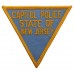 United States Capitol Police State of New Jersey Cloth Patch Badge