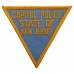 United States Capitol Police State of New Jersey Cloth Patch Badge