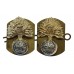 Pair of Royal Regiment of Fusiliers Anodised (Staybrite) Collar Badges