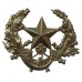 Cameronians (Scottish Rifles) Cap Badge