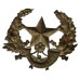 Cameronians (Scottish Rifles) Cap Badge