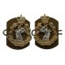 Pair of Royal Army Dental Corps (R.A.D.C.) Anodised (Staybrite) Collar Badges