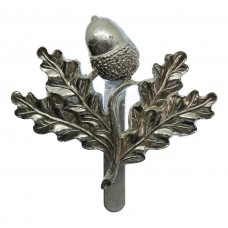 South Notts Hussars Anodised (Staybrite) Cap Badge