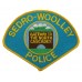 United States Sedro-Woolley Police Cloth Patch Badge