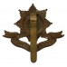Worcestershire Regiment Cap Badge