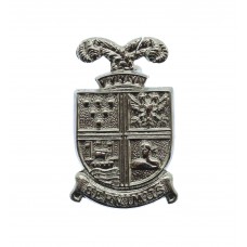 Falmouth Docks Police Collar Badge