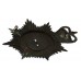 Barnsley Borough Police Night Helmet Plate - Queen's Crown