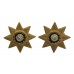 Pair of East Yorkshire Regiment Officer's Collar Badges