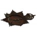 Nottinghamshire Constabulary Night Helmet Plate - King's Crown