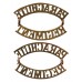 Pair of Parachute Regiment (PARACHUTE/REGIMENT) Shoulder Titles