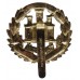 Northamptonshire Regiment Anodised (Staybrite) Cap Badge