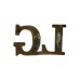 Life Guards (LG) Shoulder Title