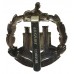 Dorset Regiment Anodised (Staybrite) Cap Badge
