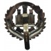 Northamptonshire Regiment Anodised (Staybrite) Cap Badge