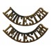 Pair of Leicestershire Regiment (LEICESTER) Shoulder Titles