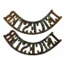 Pair of Leicestershire Regiment (LEICESTER) Shoulder Titles