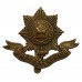 Worcestershire Regiment Cap Badge