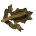 Worcestershire Regiment Cap Badge