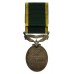 George VI Territorial Efficiency Medal - Cpl. N.L. Parker, Royal Warwickshire Regiment
