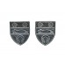 Pair of Leicestershire Constabulary Collar Badges
