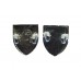 Pair of Leicestershire Constabulary Collar Badges