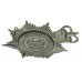 Northampton & County Constabulary Helmet Plate - Queen's Crown