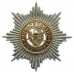 Cheshire Regiment Anodised (Staybrite) Cap Badge 