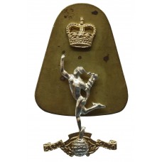 Royal Corps of Signals Anodised (Staybrite) Cap Badge - Queen's Crown