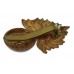 Royal Fusiliers Cap Badge - King's Crown