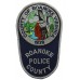 United States Roanoke County Police Cloth Patch Badge