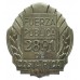 Costa Rica Police Numbered Breast Badge