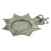 Nottinghamshire Combined Constabulary Helmet Plate - Queen's Crown