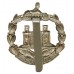 Dorset Regiment Anodised (Staybrite) Cap Badge