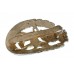 York & Lancaster Regiment Anodised (Staybrite) Cap Badge