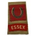 13th Infantry Division Essex Regiment WW2 Insignia Combination