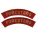 Pair of Notts & Derby Regiment The Sherwood Foresters (FORESTERS) WW2 Printed Shoulder Titles