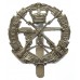 Small Arms School Corps Anodised (Staybrite) Cap Badge - Queen's Crown