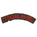 Royal Green Jackets (GREEN JACKETS) Cloth Shoulder Title