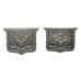 Pair of Southampton Police Collar Badges