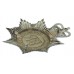 Sheffield & Rotherham Constabulary Helmet Plate - Queen's Crown