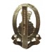 Queen's Lancashire Regiment Anodised (Staybrite) Cap Badge