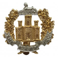 Essex Regiment Anodised (Staybrite) Cap Badge